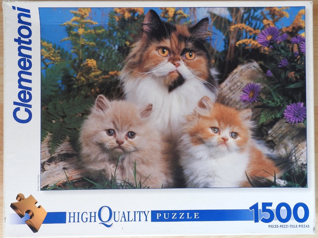 A mother cat and two fluffy kittens posing in a garden setting