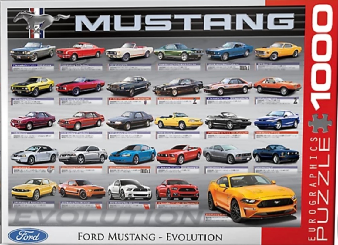 A collage featuring twenty-nine Ford Mustang car models in chronological order arranged in a grid.