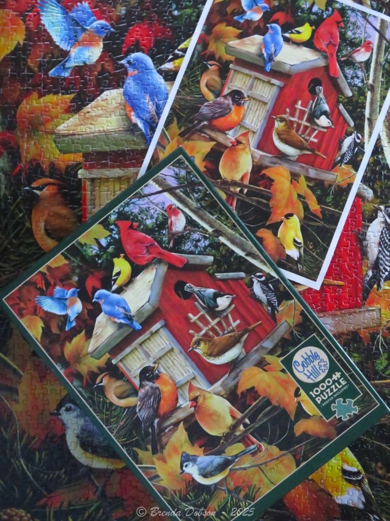 An illustration featuring numerous colorful songbirds gathered around red wooden birdhouses amidst autumn foliage.