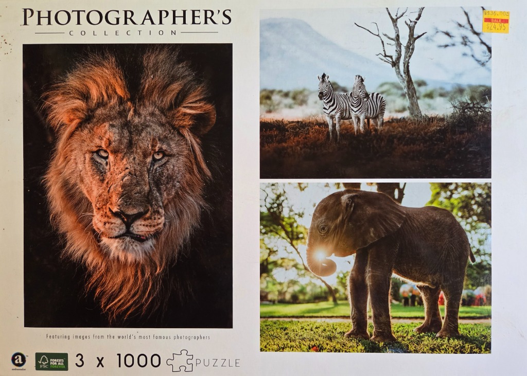 A collage of three professional wildlife photographs: a close-up of a lion, two zebras on a savanna, and a baby elephant.