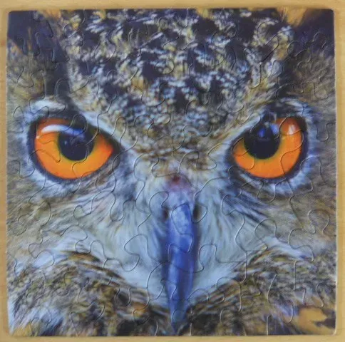 Close-up portrait of an owl with bright orange eyes