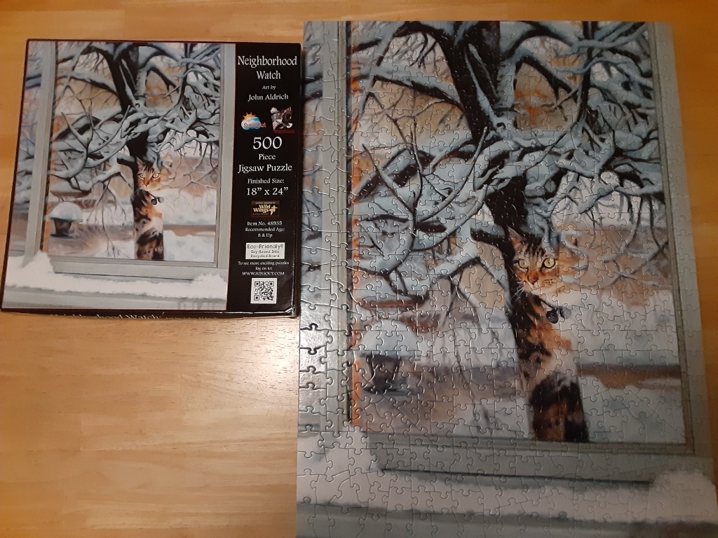 A tortoiseshell cat sitting in a snowy tree viewed through a window