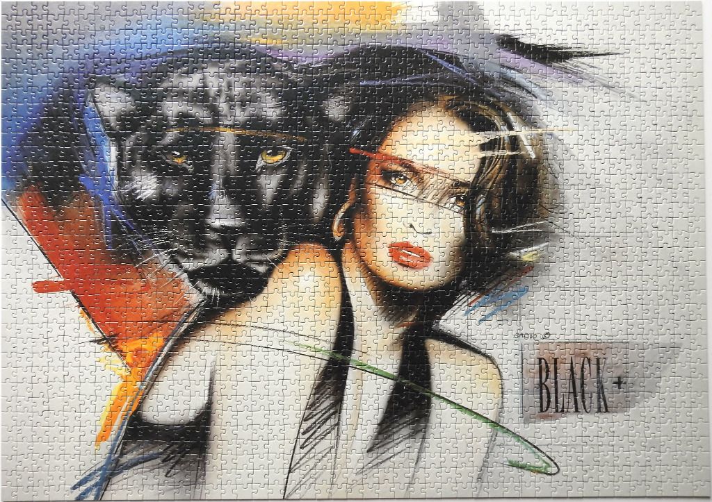 An artistic illustration of a woman posed next to a black panther in a stylized, mixed-media composition.