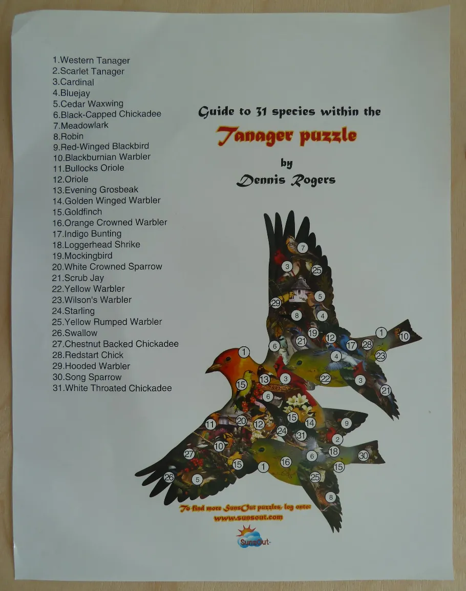 A guide featuring two large bird silhouettes composed of 31 smaller bird species with an identification key.