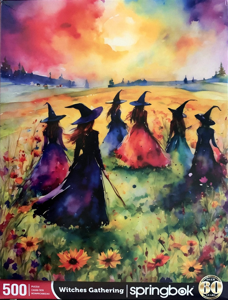 Watercolor illustration of six witches in tall hats walking through a vibrant wildflower meadow under a sunset sky.