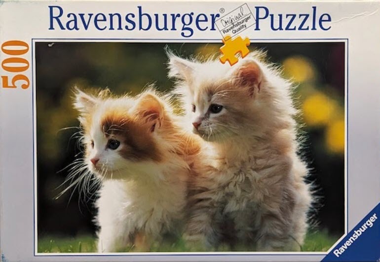 Two fluffy kittens with cream and orange fur standing side-by-side in a garden.