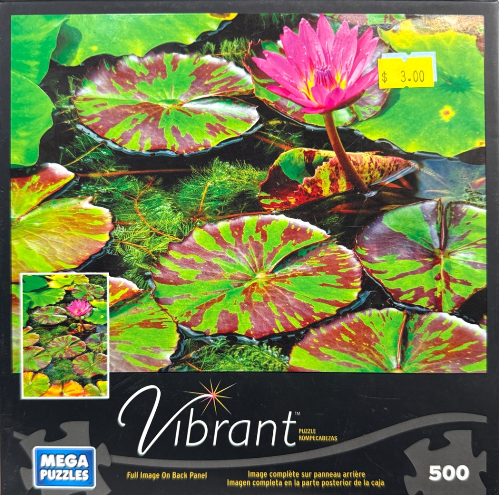 A close-up photograph of a vibrant pink water lily blooming among patterned green and maroon lily pads.