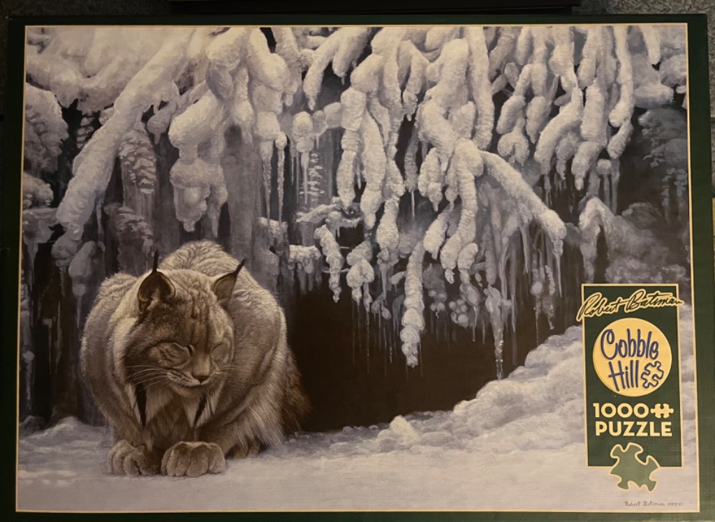 A detailed painting of a Canada lynx resting in front of a snowy, ice-covered evergreen cave.