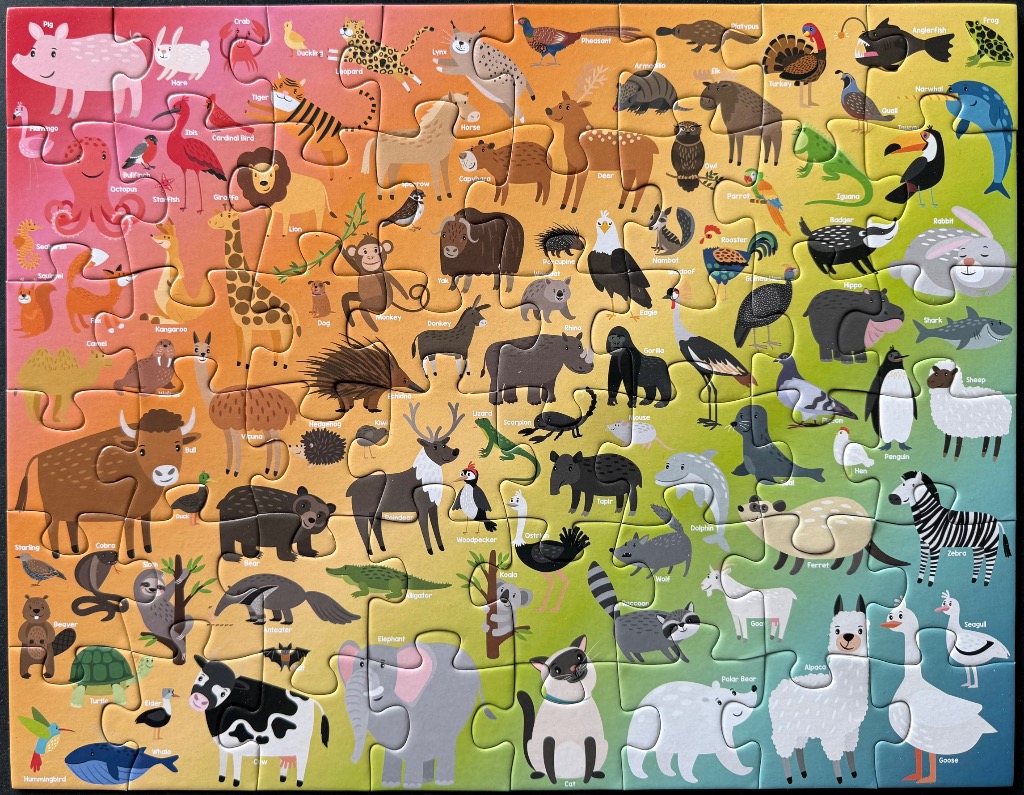A colourful educational illustration showing a wide variety of animals arranged in a rainbow gradient.