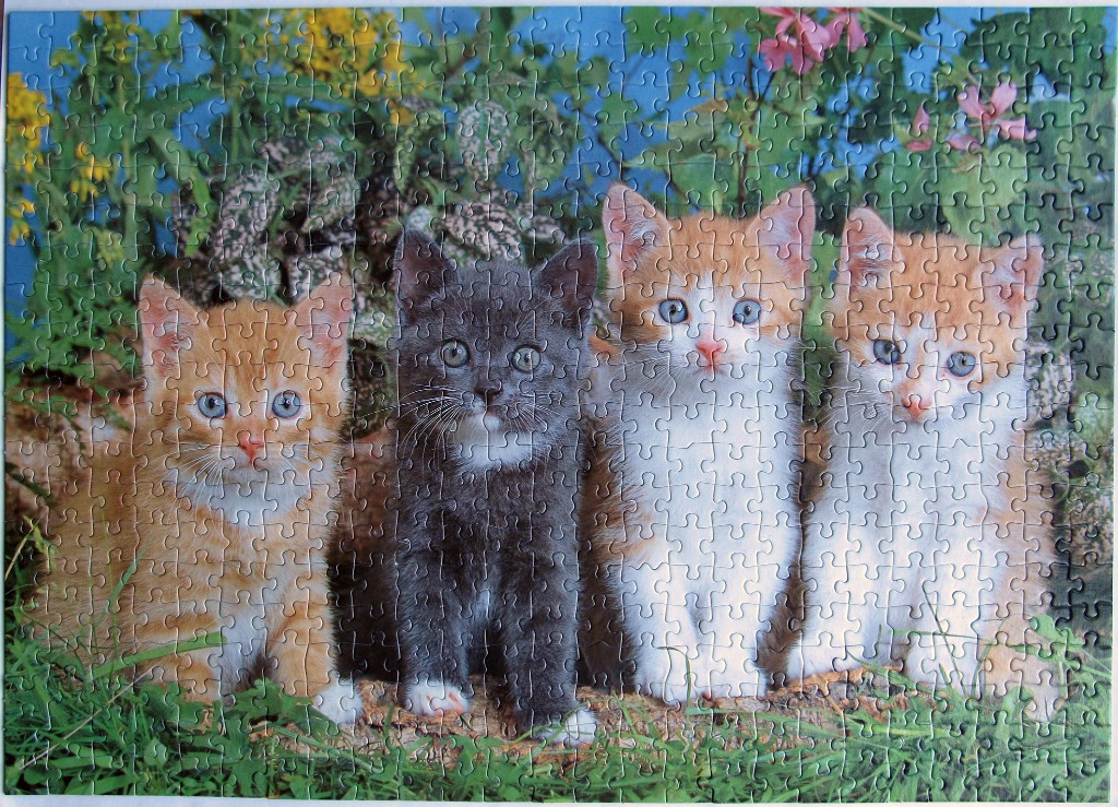 Four kittens of different colors sitting in a row in a garden setting.