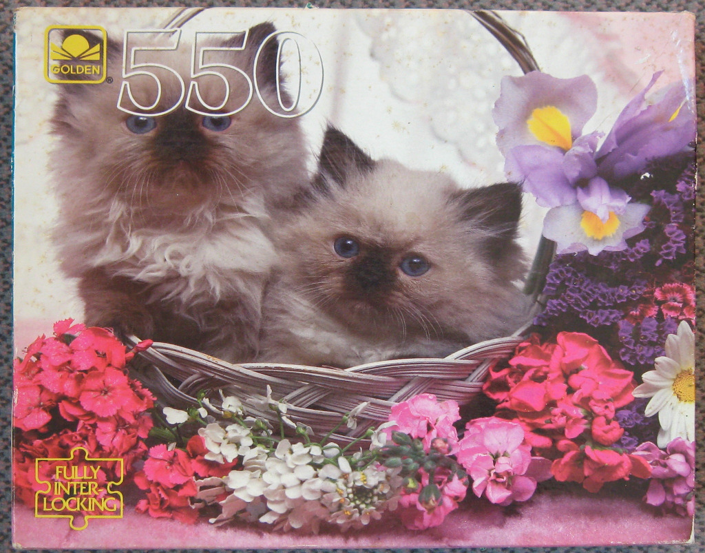 Two fluffy Himalayan kittens sitting in a wicker basket surrounded by colorful spring flowers.