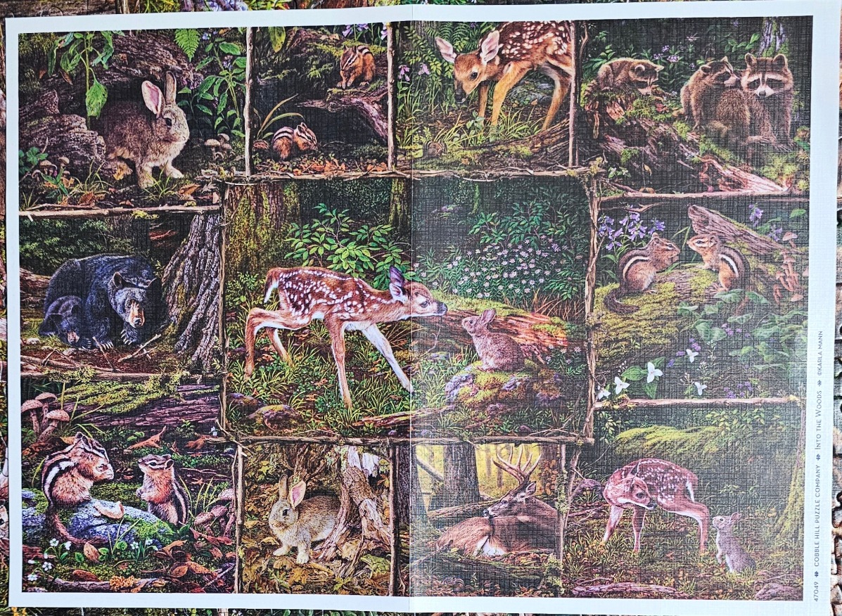 Collage of forest animals including a black bear, fawns, rabbits, and chipmunks in a grid-like wooden frame.