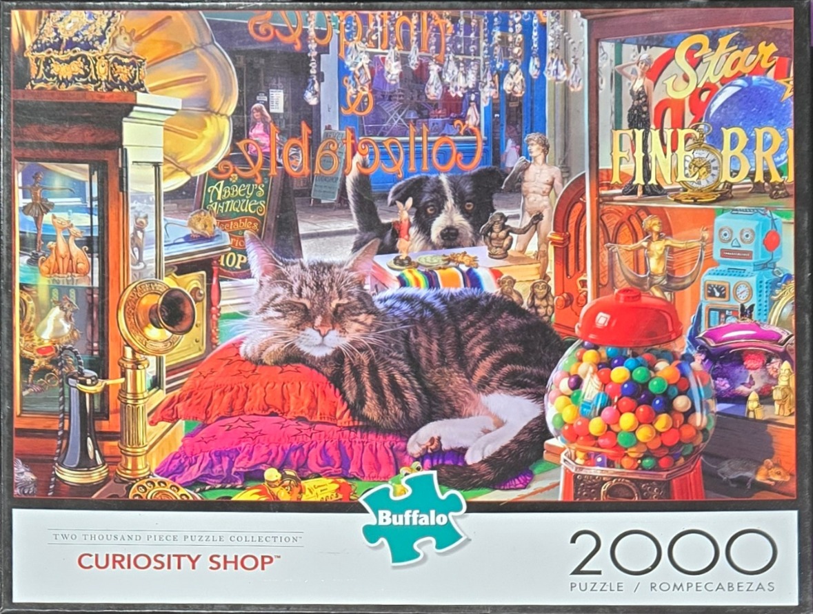 A tabby cat sleeping on bright cushions inside a cluttered antique shop window filled with curiosities.
