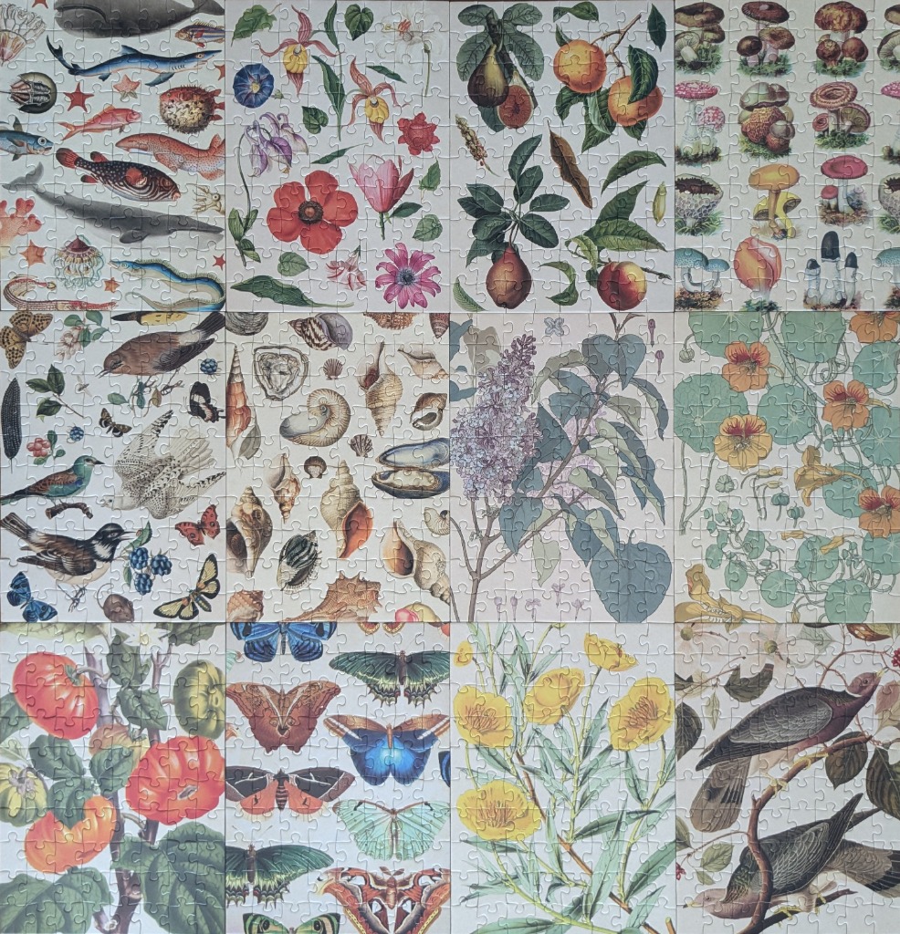 A grid of vintage-style nature illustrations featuring marine life, flowers, fruit, mushrooms, shells, birds, and insects.