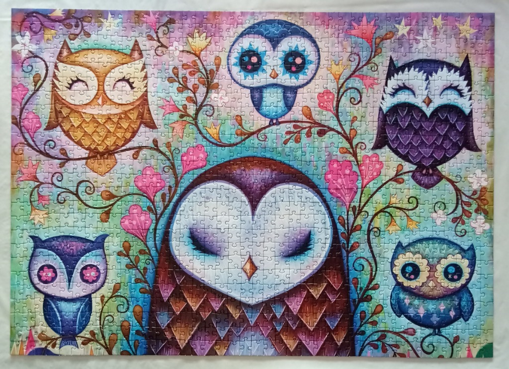 Whimsical illustration featuring five colorful, stylized owls nestled in a flowery, starry forest background.