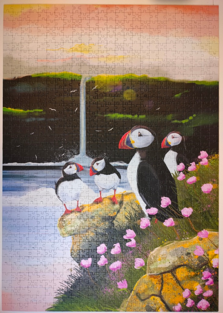 Illustration of four puffins perched on a cliffside by a waterfall at sunset