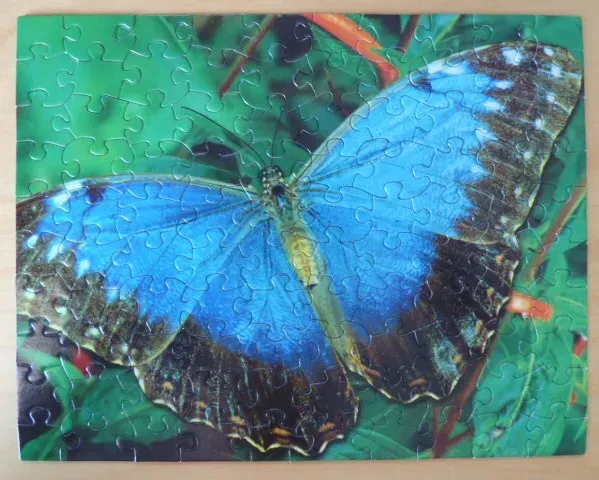 A close-up photograph of a vibrant blue morpho butterfly resting among lush green foliage.