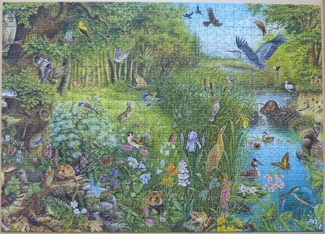 A detailed forest scene teeming with diverse wildlife including birds, small mammals, and insects by a stream.