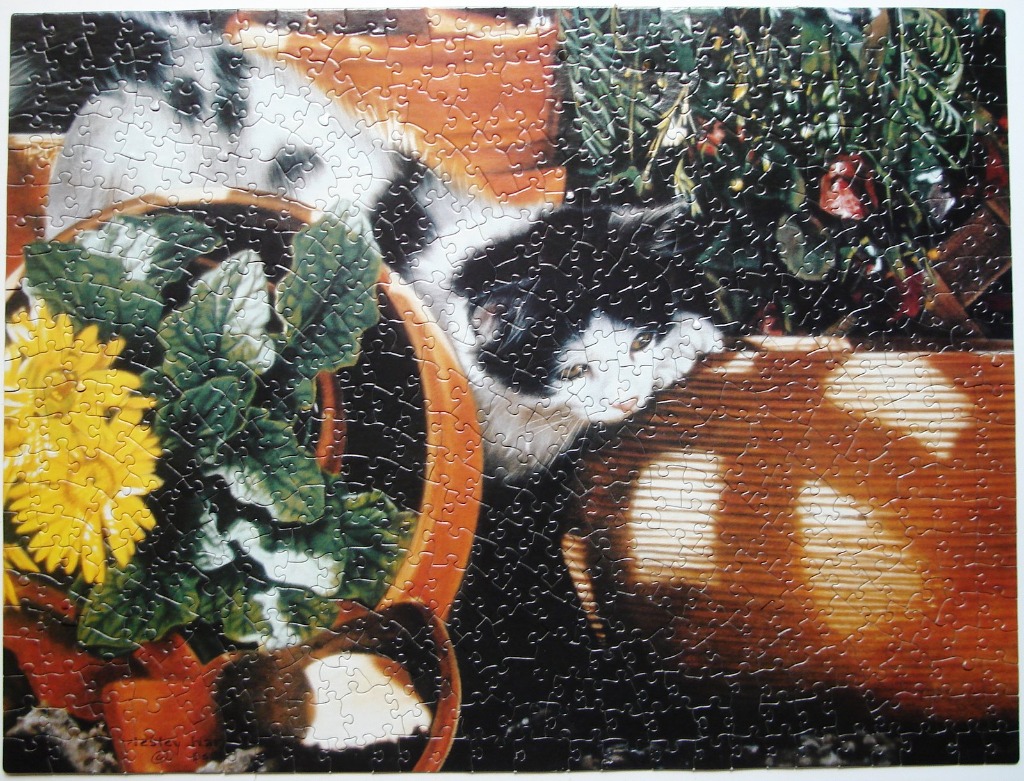 A black and white cat peeking out from behind a large orange ceramic pot filled with yellow flowers.