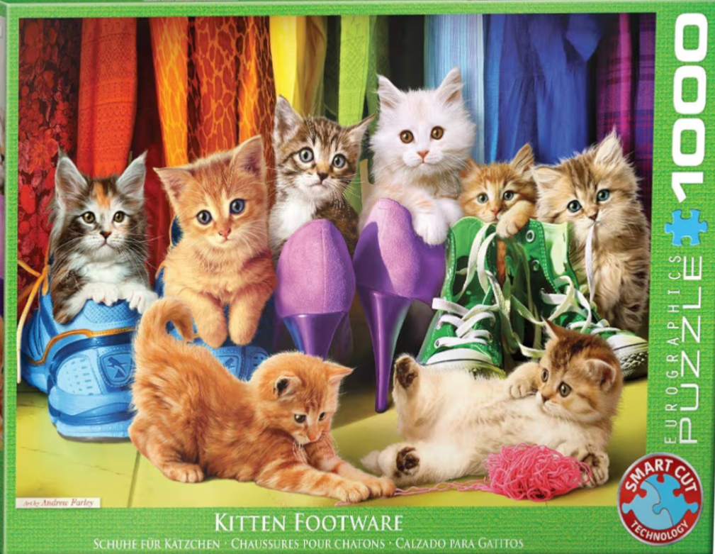 Seven kittens playing with various shoes against a backdrop of colorful hanging clothing.
