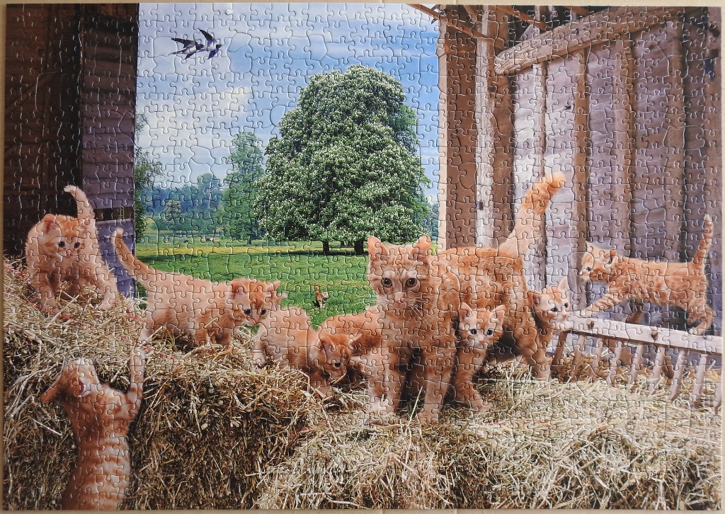 Seven orange tabby kittens playing in a hay-filled barn with a view of a lush green meadow outside.