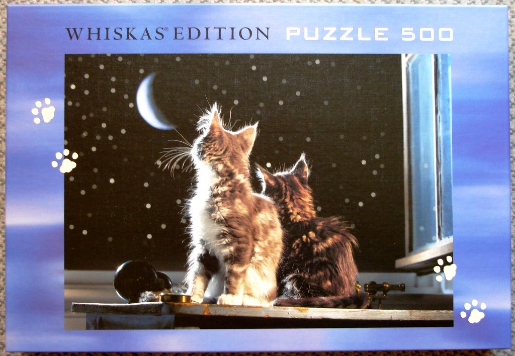 Two fluffy kittens sitting on a window sill looking out at a starry night sky with a crescent moon.