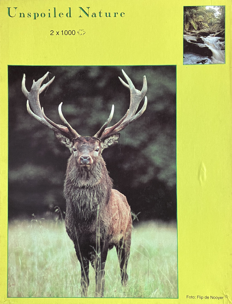 A majestic red deer stag standing in a grassy meadow with a smaller inset image of a waterfall above.