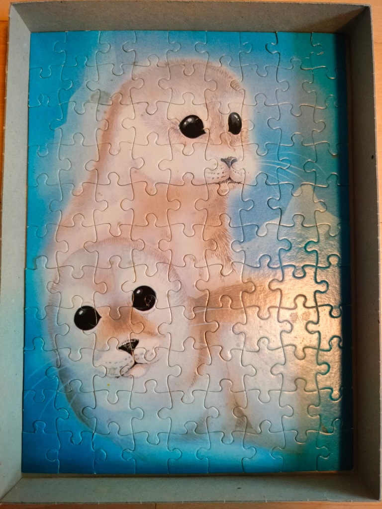An illustration of two baby harp seals with large, dark eyes set against a vibrant blue background.
