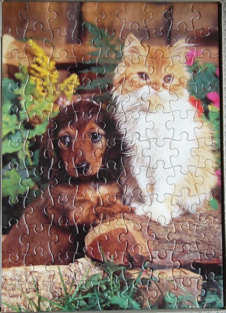 A long-haired dachshund puppy and a fluffy orange and white kitten sitting together on wooden logs.