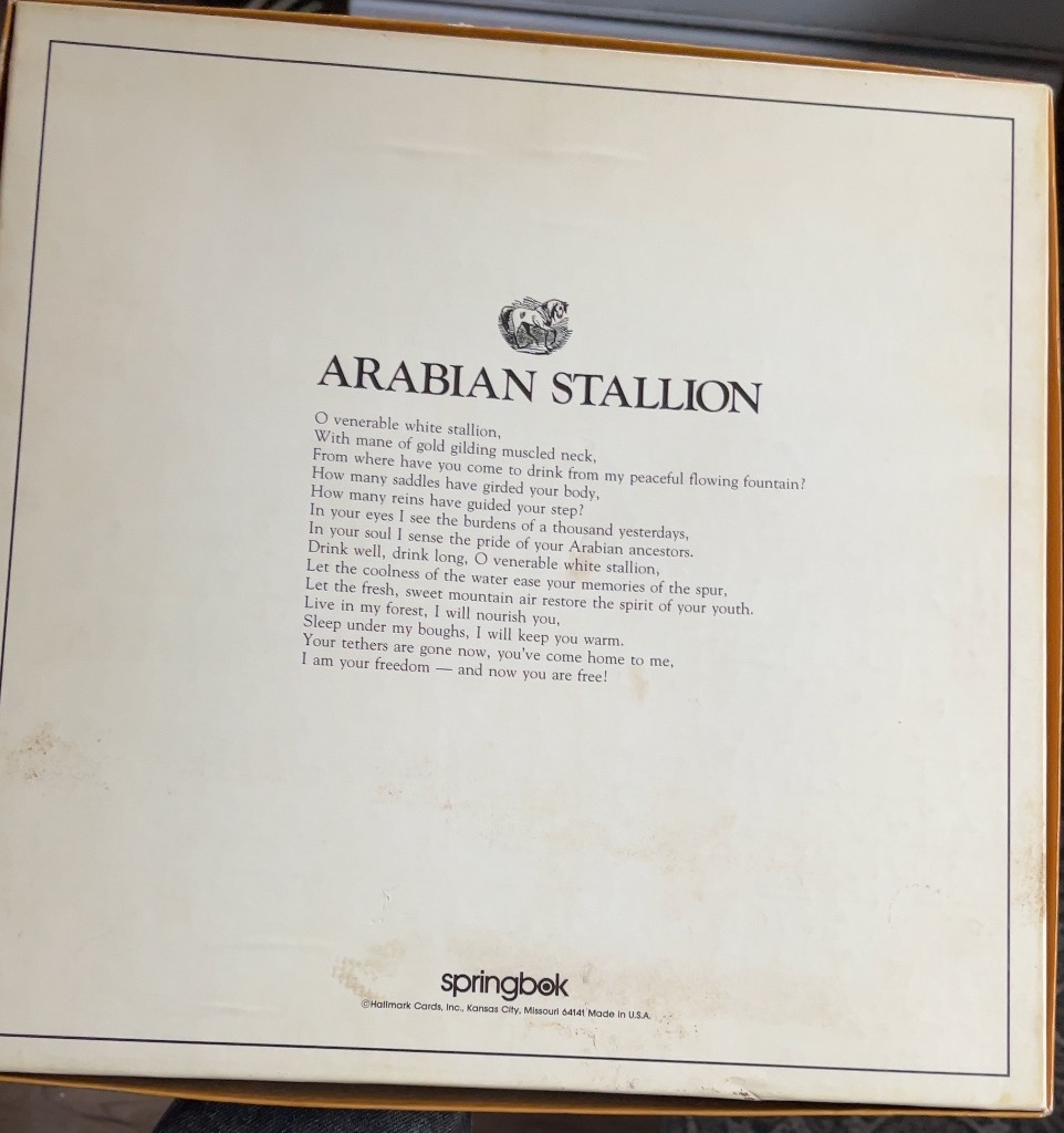 Arabian Stallion
