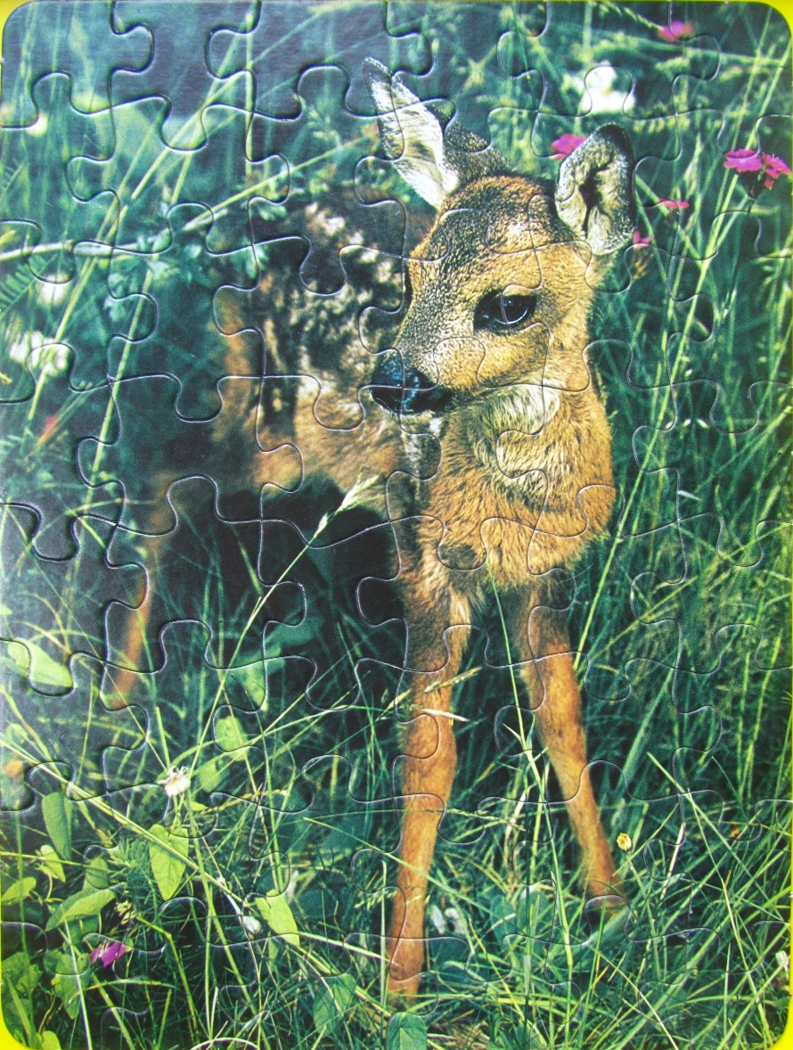 A close-up photograph of a young fawn standing in tall green grass and wildflowers.