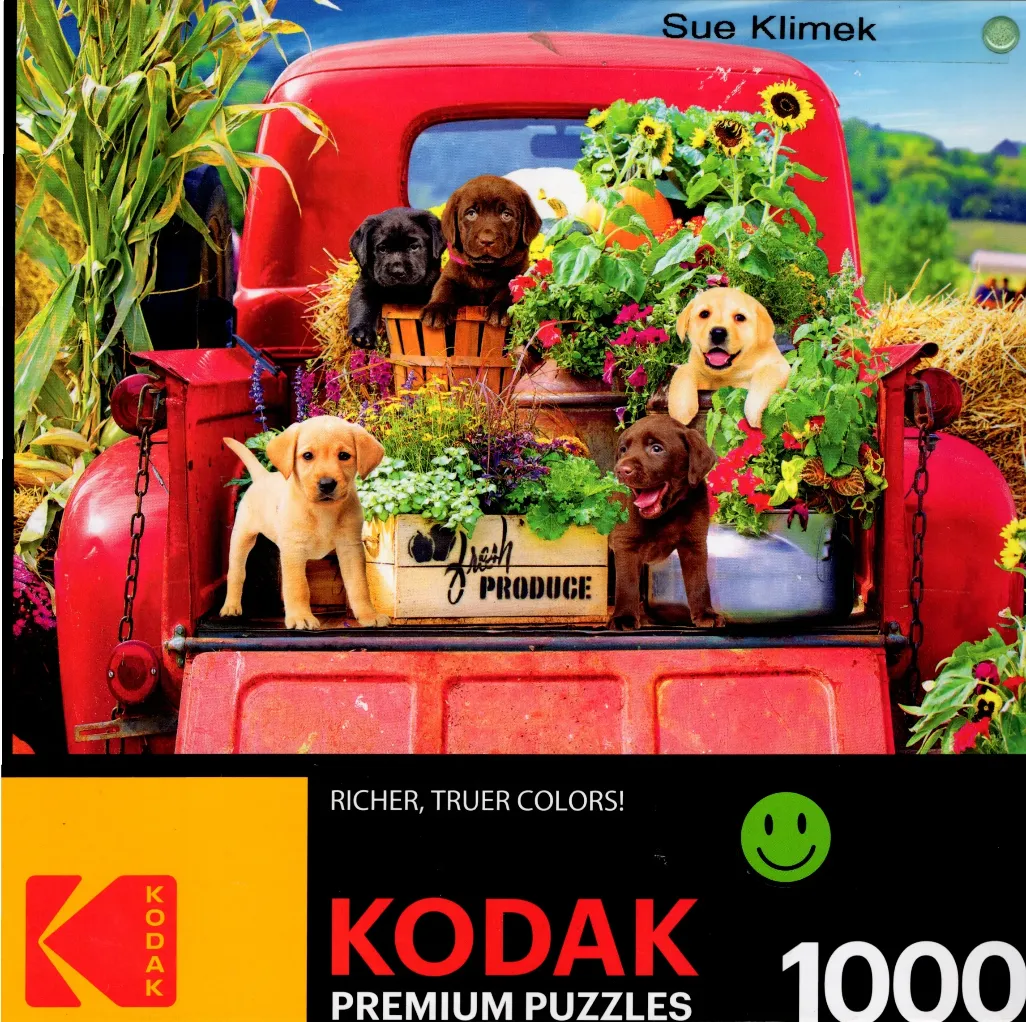 Four Labrador retriever puppies in the back of a vintage red truck with flowers and produce