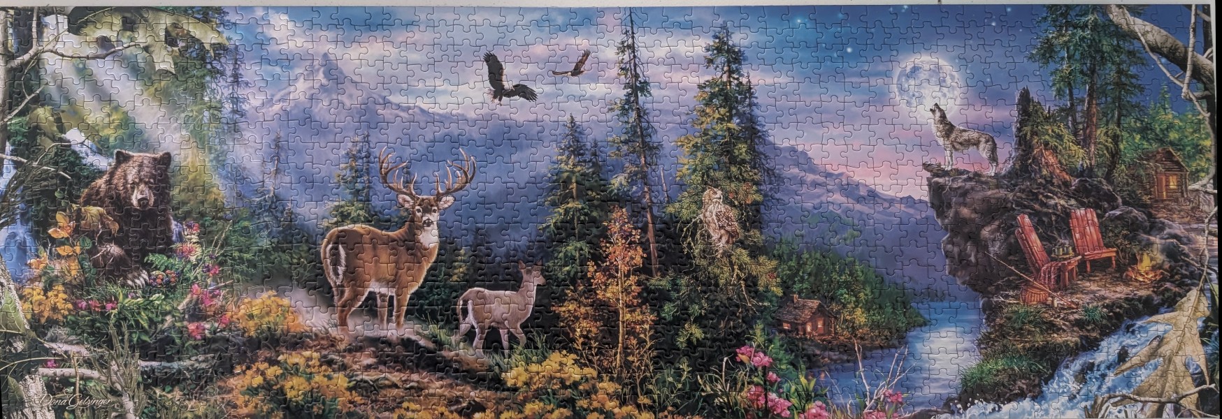 Panoramic wilderness scene featuring a bear, deer, eagle, owl, and wolf under a moonlit mountain landscape.