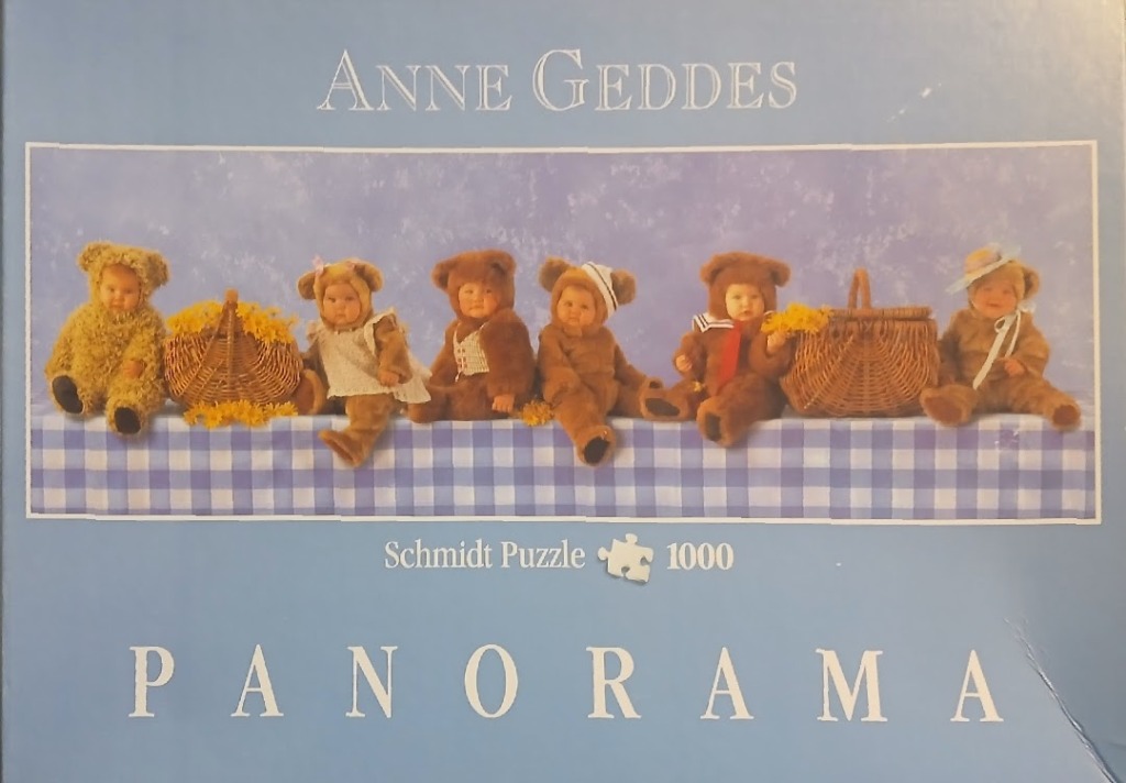 Six infants dressed in teddy bear costumes sitting on a blue gingham-covered table with picnic baskets.