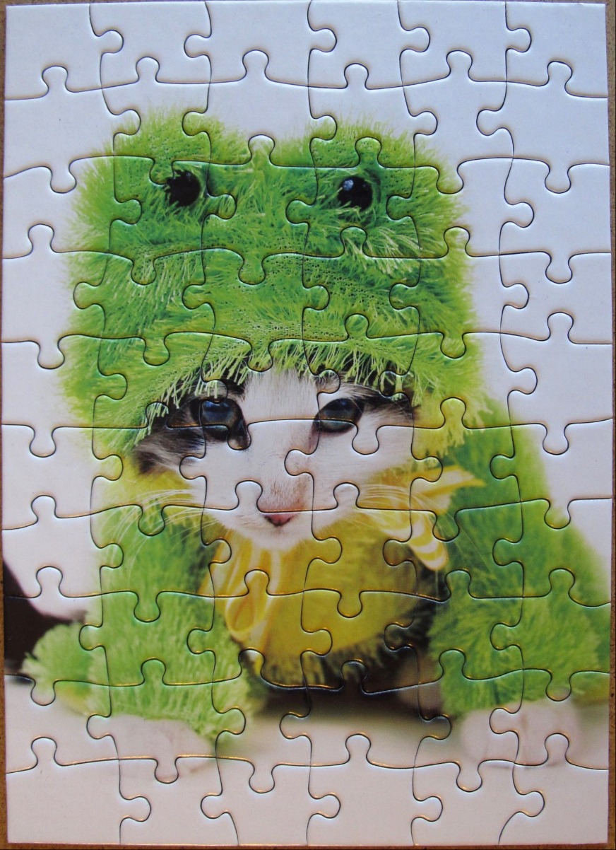 A close-up portrait of a small kitten wearing a fuzzy green frog hat.