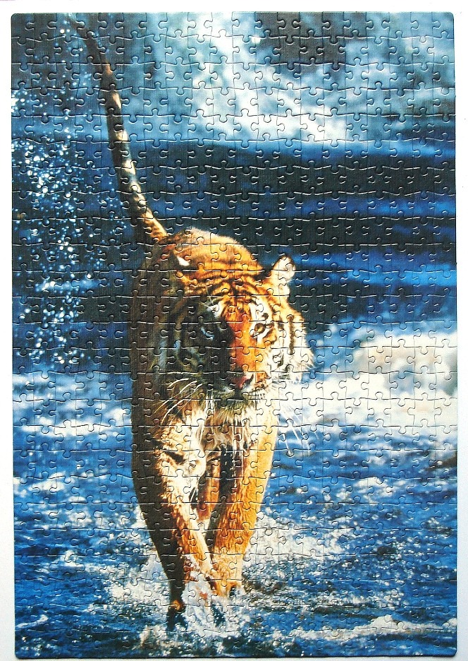 A tiger walking through shallow blue water under a cloudy sky.