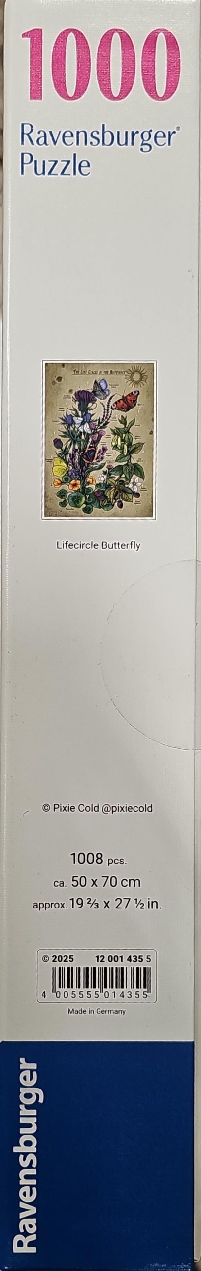 The Life Circle of the Butterfly