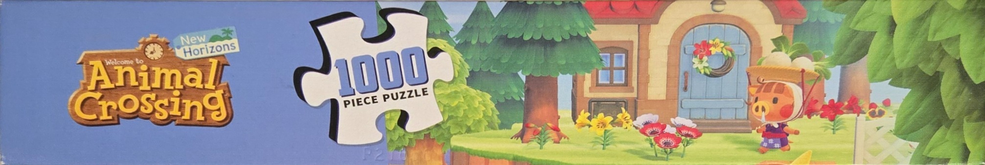 Welcome to Animal Crossing New Horizons