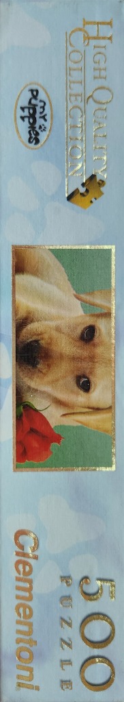 Dog with Rose