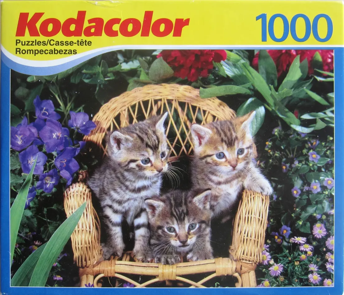 Three tabby kittens sitting on a miniature wicker chair in a garden setting.