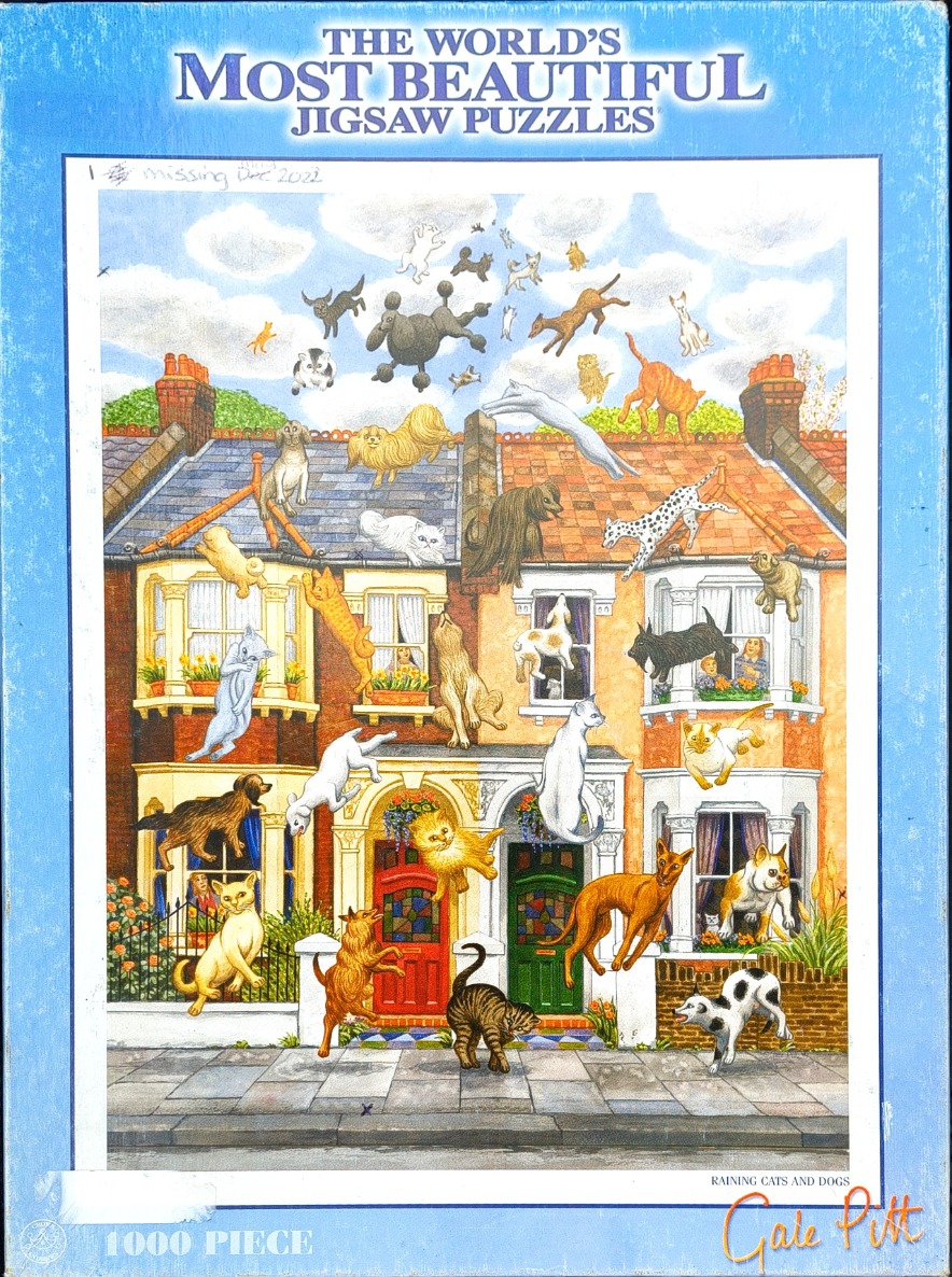 Illustration of cats and dogs raining down on a row of English terrace houses