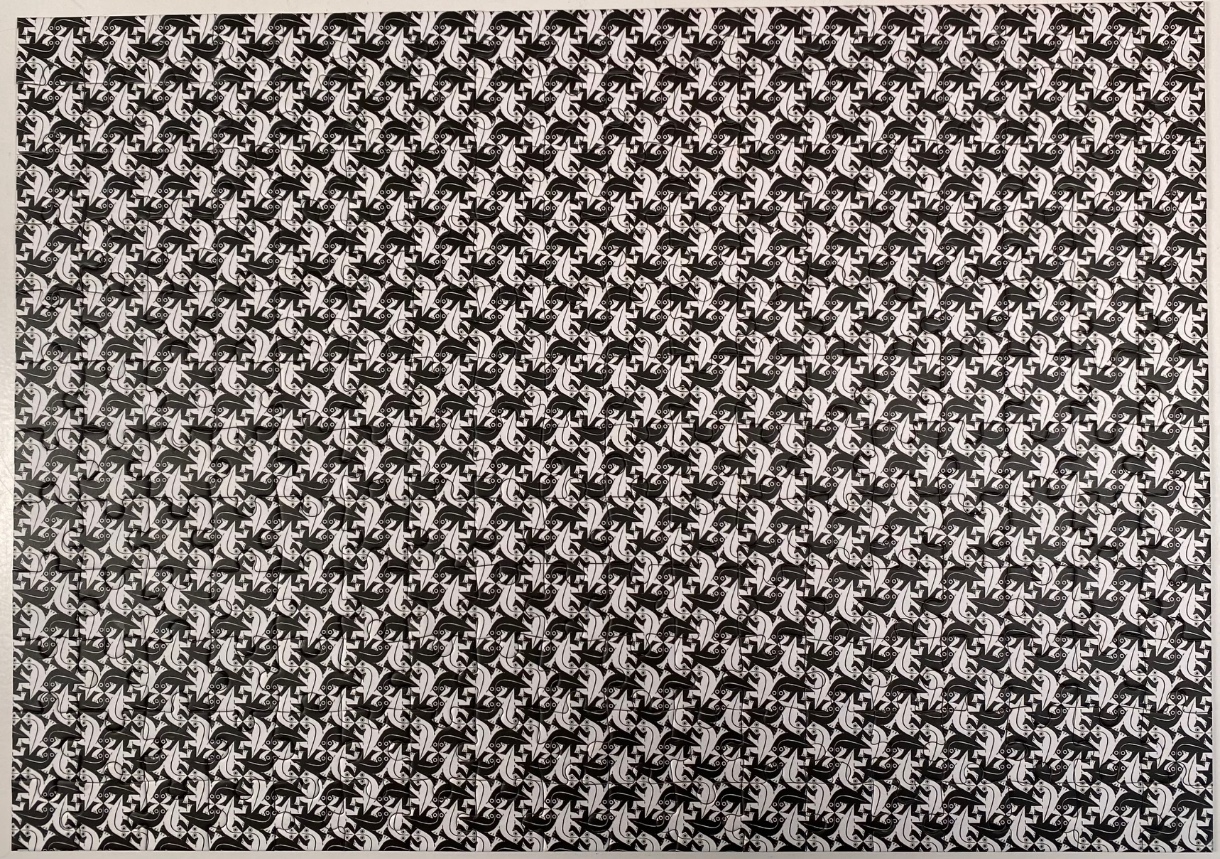 A black and white tessellation pattern of interlocking birds and fish.