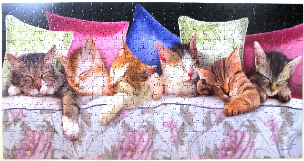 Six kittens sleeping side-by-side against a row of colorful pillows