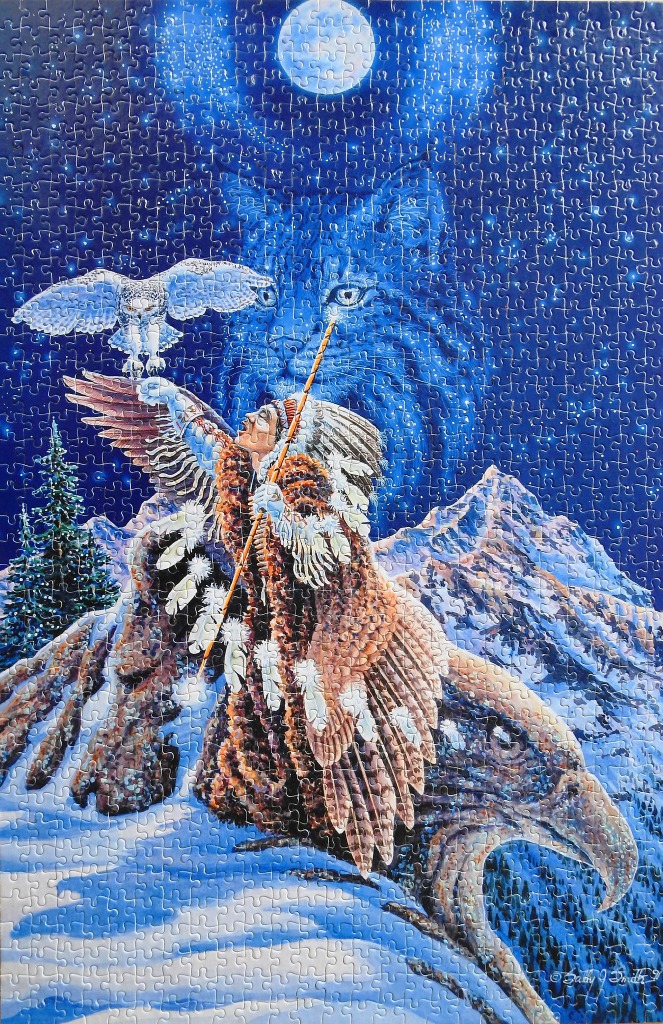 A fantasy illustration of a Native American figure interacting with a snowy owl against a star-filled night sky.