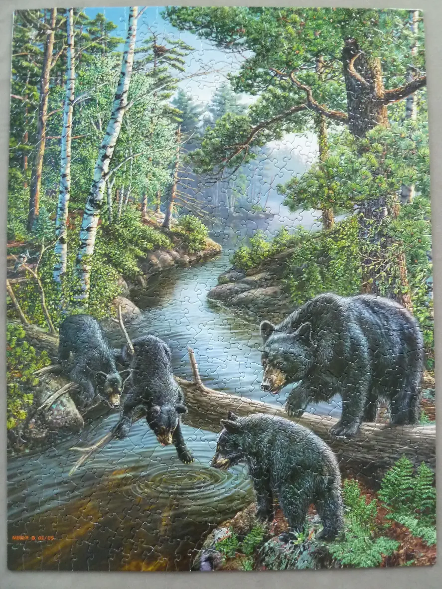 A black bear mother and three cubs playing by a tranquil forest stream.