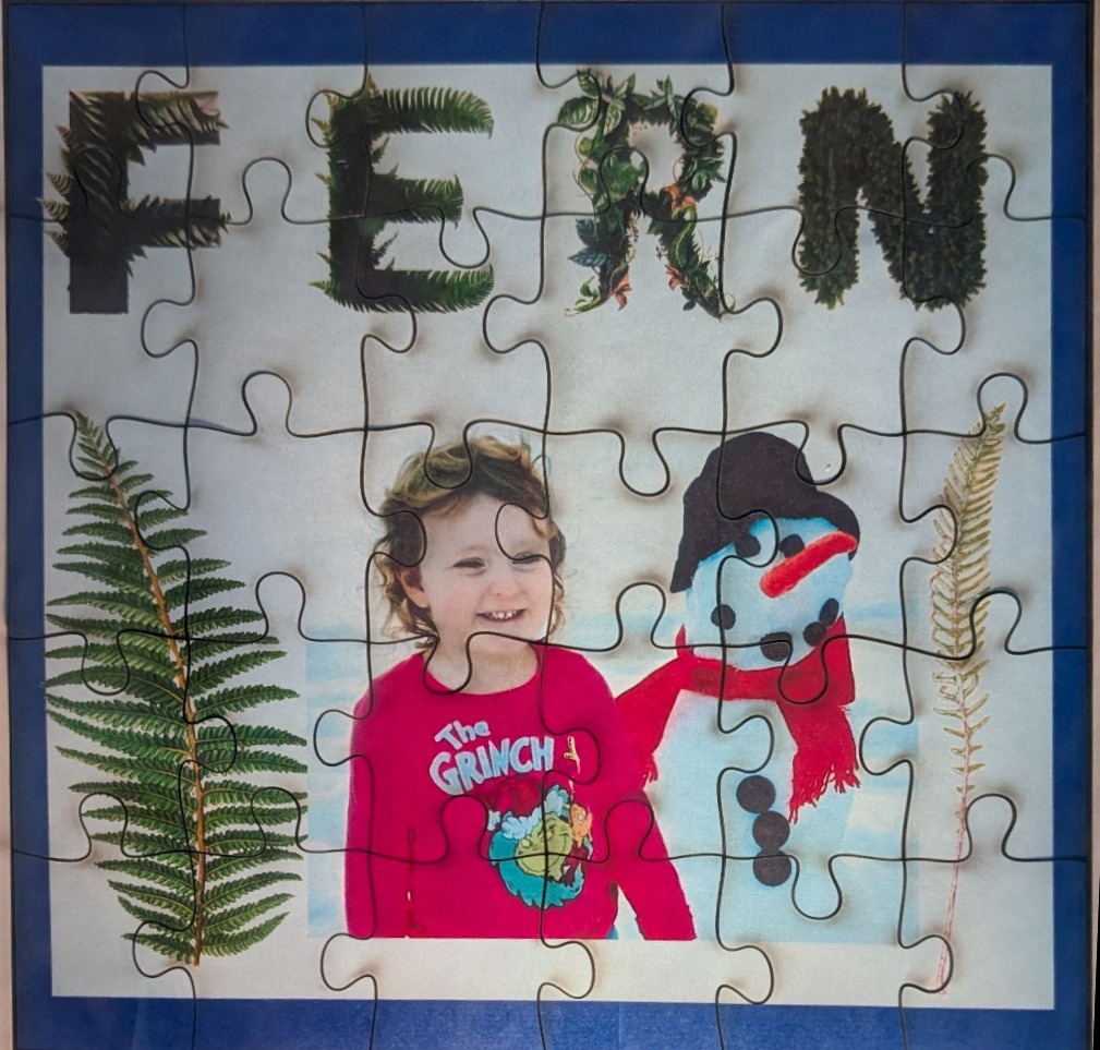 A collage featuring the word FERN in foliage, a child in a Grinch sweater, a snowman, and fern fronds on a white background.