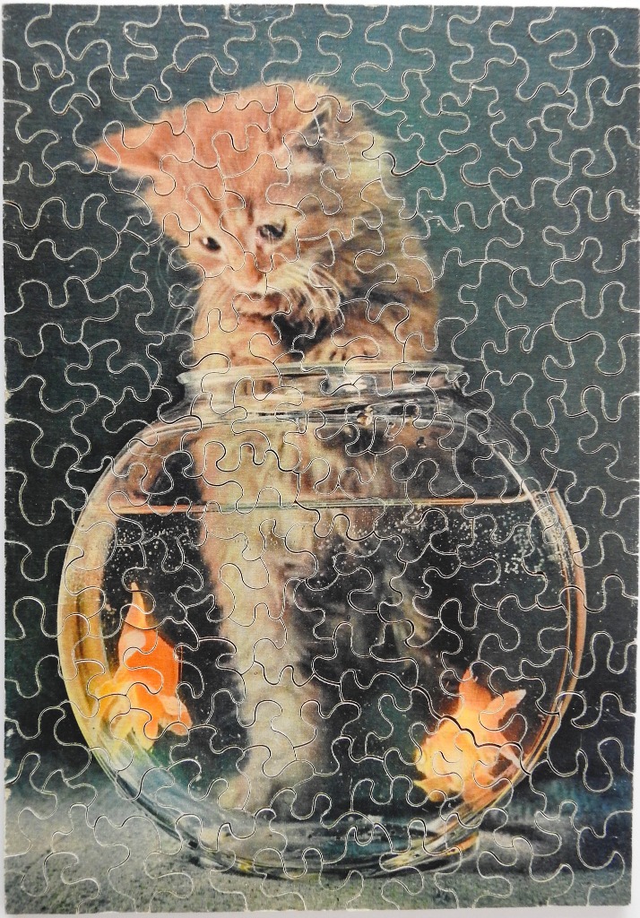 An orange kitten looking into a round glass fishbowl with two goldfish inside against a dark, moody background.