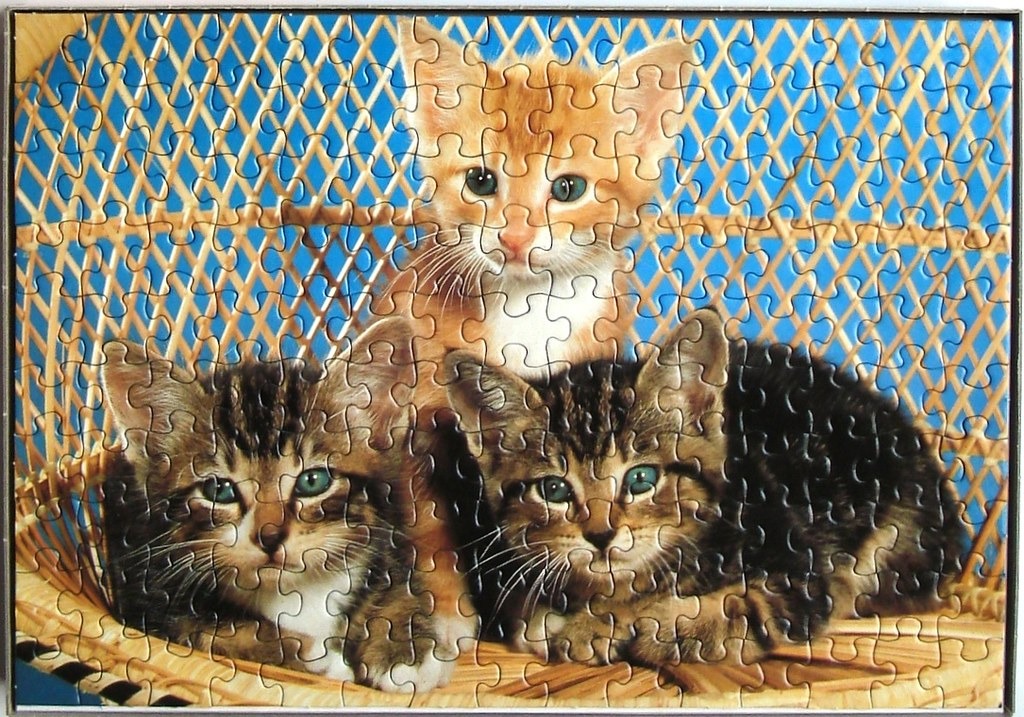 Three kittens sitting in a wicker chair against a bright blue background.