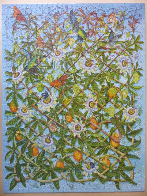 A botanical illustration featuring hummingbirds and butterflies among passion flowers and vines on a light blue background.