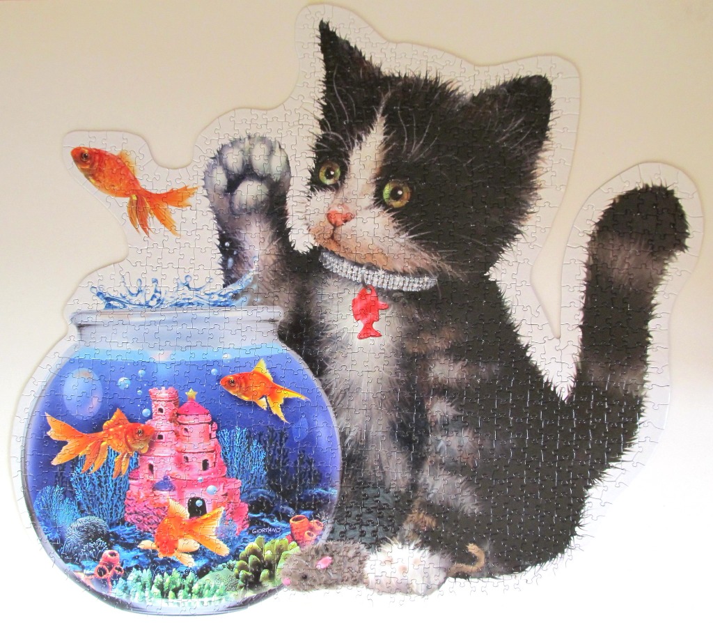 A whimsical illustration of a fluffy black and white kitten reaching toward goldfish in a decorated bowl.